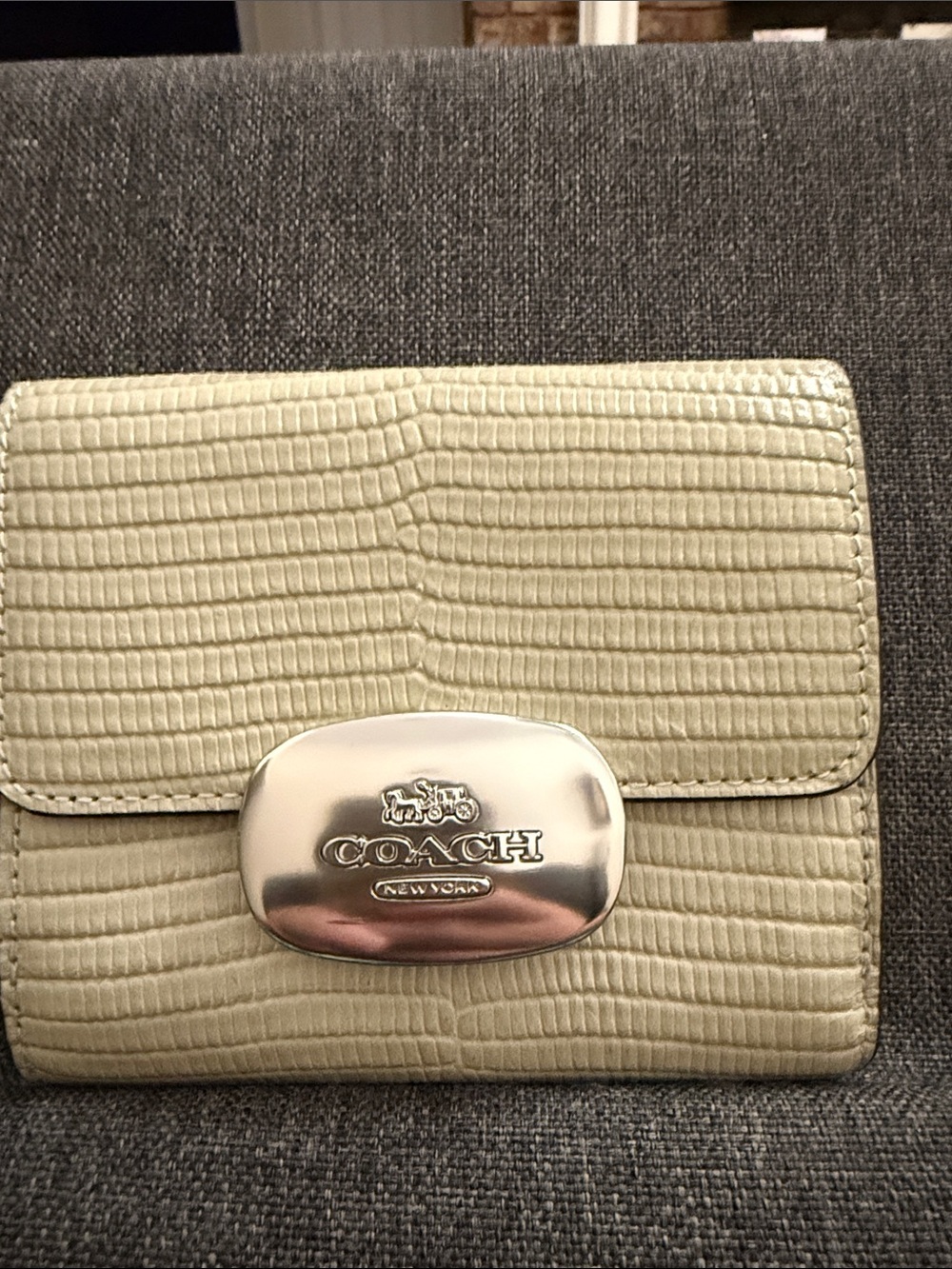 Coach Small Lizard-Embossed Wallet in Light Sage with Silver Hardware